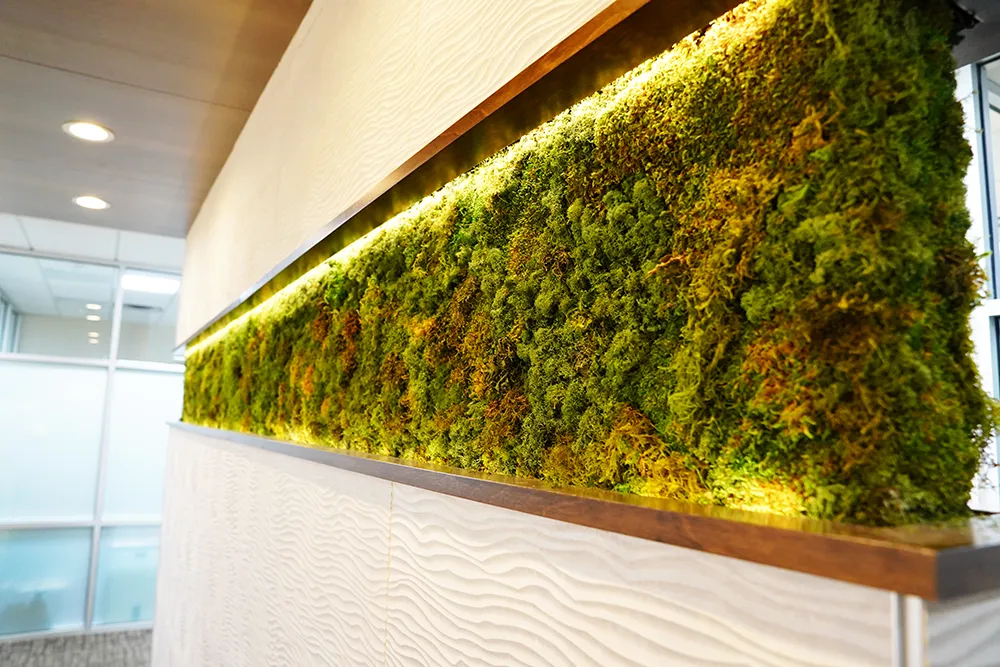 A close view of the preserved moss wall, a wood shelf, and warm strip lighting.
