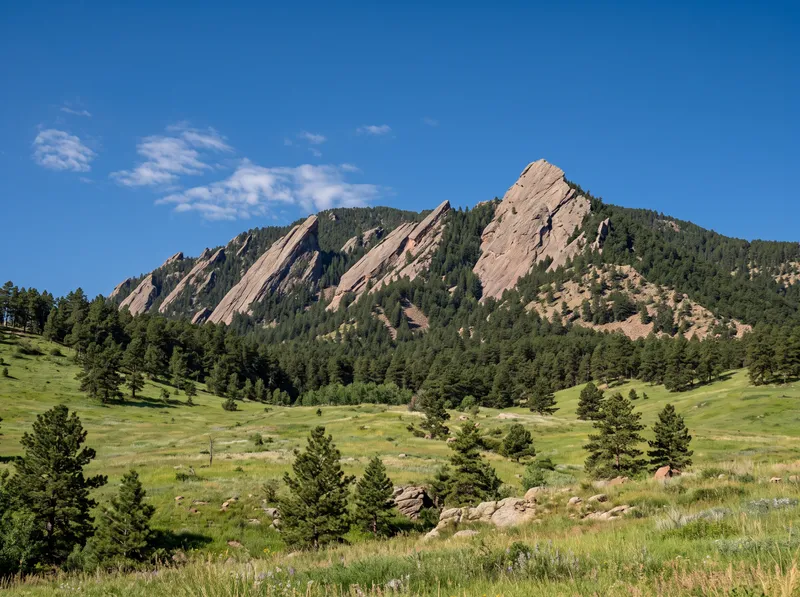 The Flatirons rising above an open meadow of grass and scattered ponderosa pines outside Boulder.